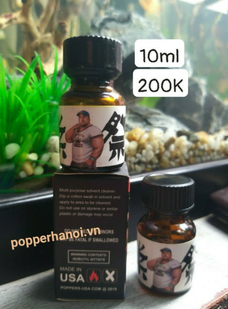 Popper Bear Party chính hàng tại Hà Nội