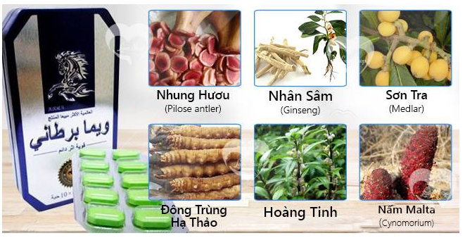 Ngựa Thái Hà Nội
