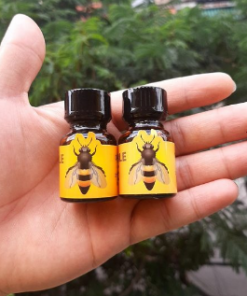 Popper con ong 10ml